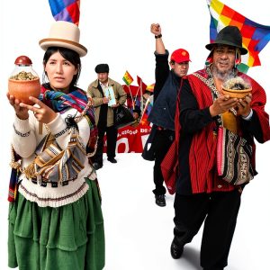 Bolivia History eBook by Duke University Press Native Histories-0